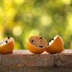 Giardiniere mentre applica metodo naturale per eliminare zanzare nel giardino.