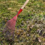 Prato danneggiato in primavera, con erba secca e macchie marroni, evidenziando un errore di cura del giardino.