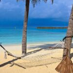 Spiaggia tropicale con palme e sole, ideale per vacanze invernali economiche.