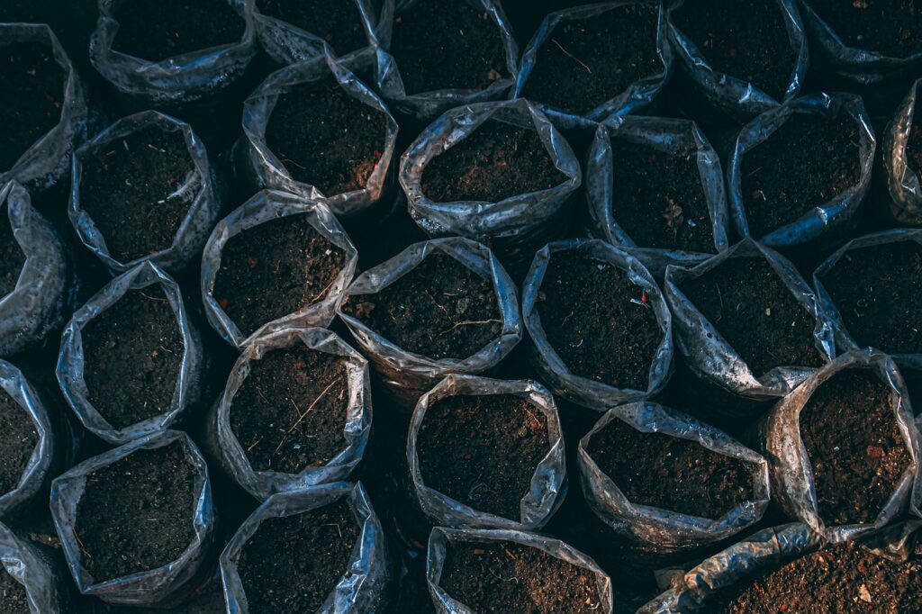 Peggior concime per il tuo orto: ecco cosa non utilizzare mai